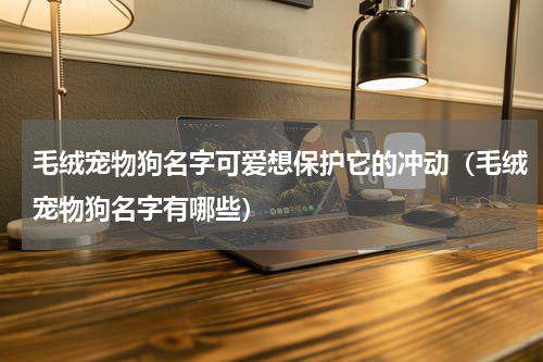 毛绒宠物狗名字可爱想保护它的冲动（毛绒宠物狗名字有哪些）