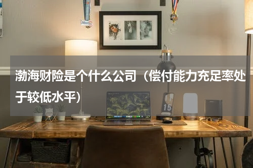 渤海财险是个什么公司（偿付能力充足率处于较低水平）