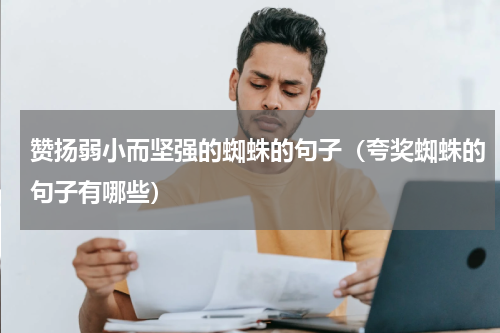 赞扬弱小而坚强的蜘蛛的句子（夸奖蜘蛛的句子有哪些）