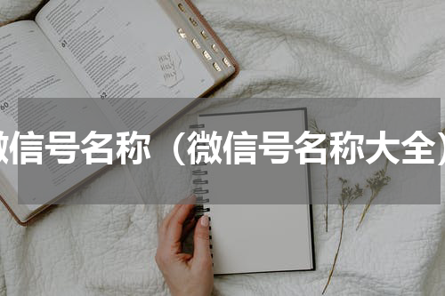 微信号名称（微信号名称大全）