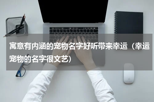 寓意有内涵的宠物名字好听带来幸运（幸运宠物的名字很文艺）