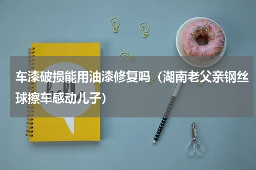 车漆破损能用油漆修复吗（湖南老父亲钢丝球擦车感动儿子）
