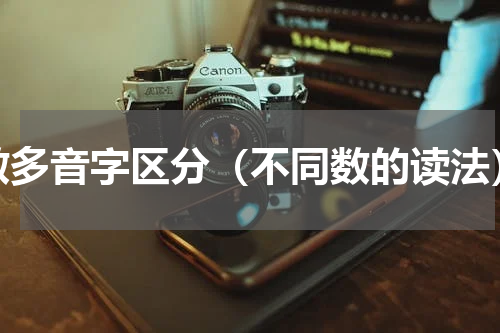 数多音字区分（不同数的读法）