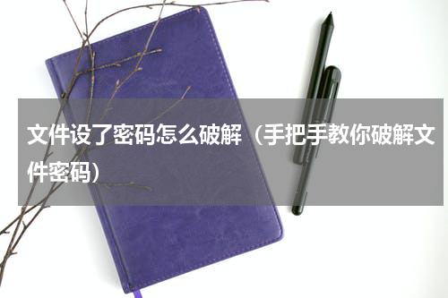 文件设了密码怎么破解（手把手教你破解文件密码）