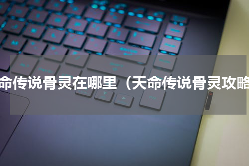 天命传说骨灵在哪里（天命传说骨灵攻略）