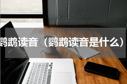 鹦鹉读音（鹦鹉读音是什么）