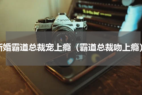 新婚霸道总裁宠上瘾（霸道总裁吻上瘾）
