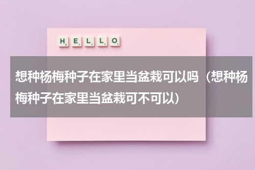 想种杨梅种子在家里当盆栽可以吗（想种杨梅种子在家里当盆栽可不可以）