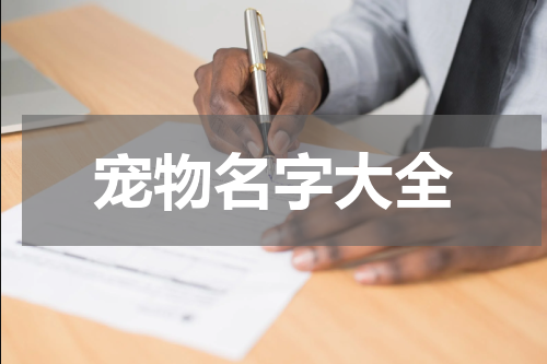 宠物名字大全