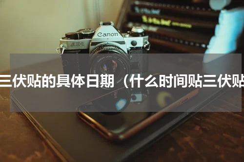 贴三伏贴的具体日期（什么时间贴三伏贴）