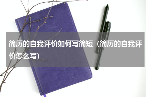 简历的自我评价如何写简短（简历的自我评价怎么写）