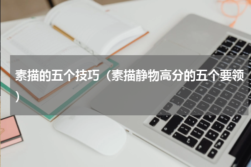 素描的五个技巧（素描静物高分的五个要领）