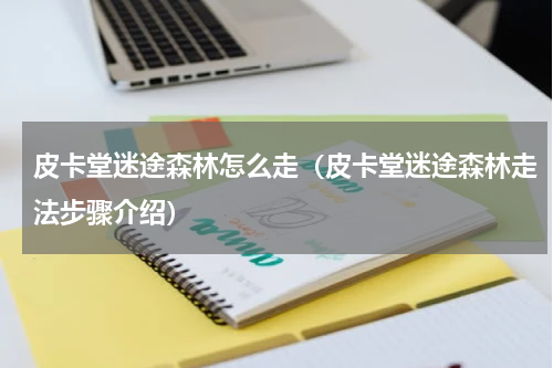 皮卡堂迷途森林怎么走（皮卡堂迷途森林走法步骤介绍）