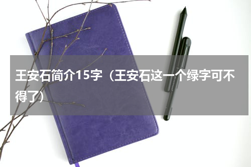 王安石简介15字（王安石这一个绿字可不得了）