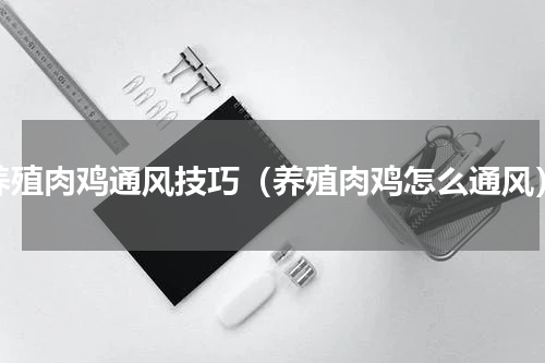 养殖肉鸡通风技巧（养殖肉鸡怎么通风）