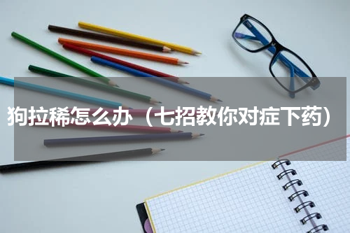 狗拉稀怎么办（七招教你对症下药）