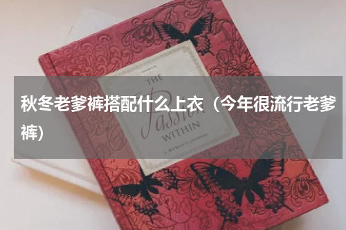 秋冬老爹裤搭配什么上衣（今年很流行老爹裤）