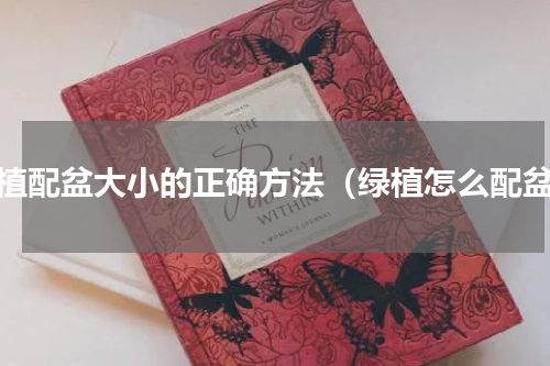 绿植配盆大小的正确方法（绿植怎么配盆）
