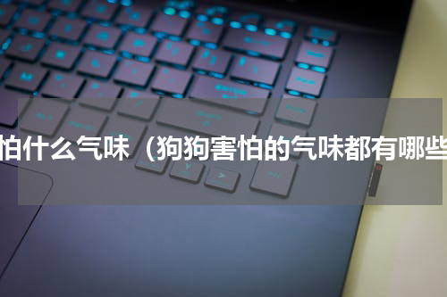 狗怕什么气味（狗狗害怕的气味都有哪些）