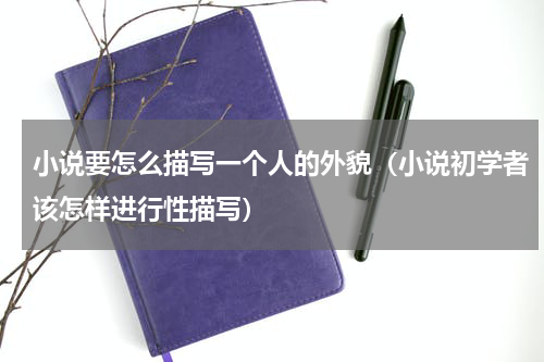 小说要怎么描写一个人的外貌（小说初学者该怎样进行性描写）