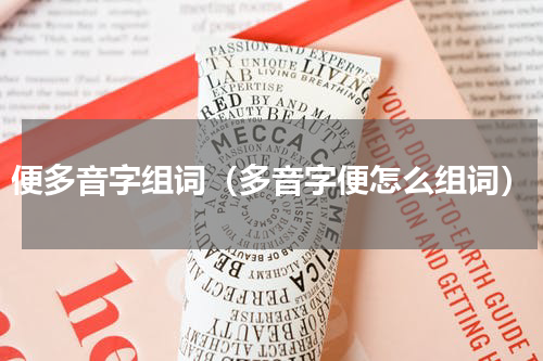 便多音字组词（多音字便怎么组词）