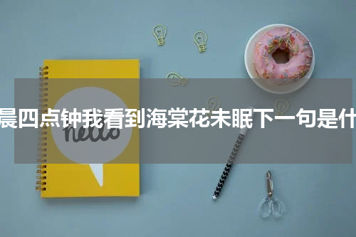 凌晨四点钟我看到海棠花未眠下一句是什么