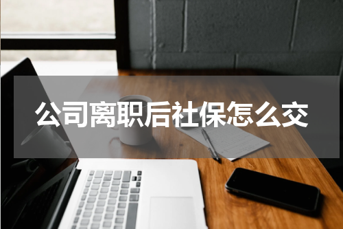 公司离职后社保怎么交
