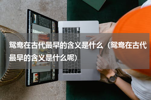 鸳鸯在古代最早的含义是什么（鸳鸯在古代最早的含义是什么呢）