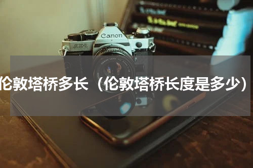 伦敦塔桥多长（伦敦塔桥长度是多少）