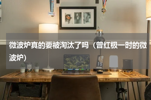 微波炉真的要被淘汰了吗（曾红极一时的微波炉）