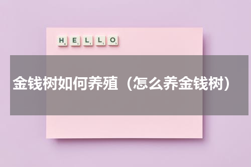 金钱树如何养殖（怎么养金钱树）