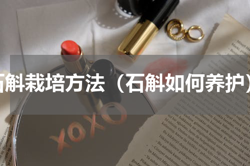 石斛栽培方法（石斛如何养护）