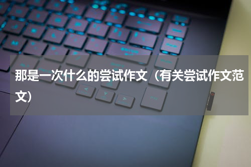 那是一次什么的尝试作文（有关尝试作文范文）