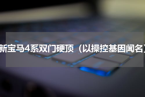全新宝马4系双门硬顶（以操控基因闻名）