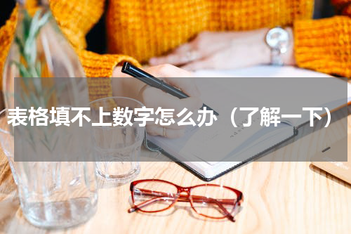 表格填不上数字怎么办（了解一下）
