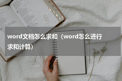 word文档怎么求和（word怎么进行求和计算）