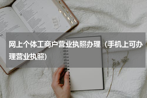 网上个体工商户营业执照办理（手机上可办理营业执照）