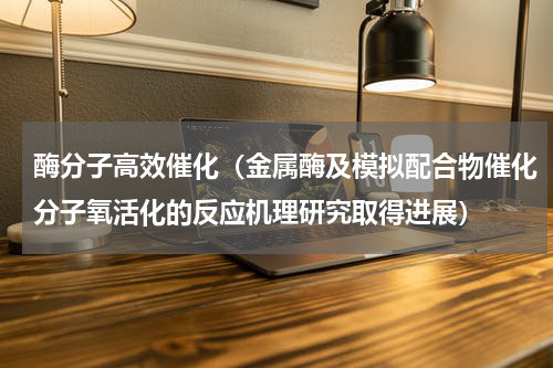 酶分子高效催化（金属酶及模拟配合物催化分子氧活化的反应机理研究取得进展）