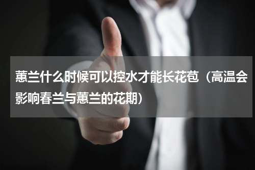 蕙兰什么时候可以控水才能长花苞（高温会影响春兰与蕙兰的花期）