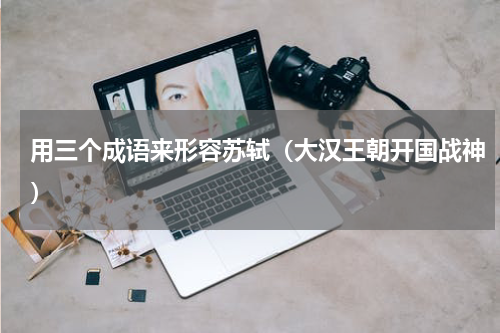 用三个成语来形容苏轼（大汉王朝开国战神）