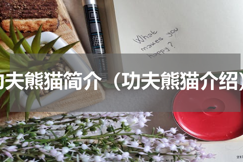 功夫熊猫简介（功夫熊猫介绍）