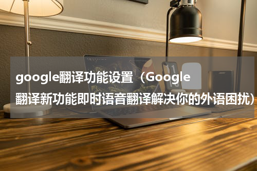 google翻译功能设置（Google翻译新功能即时语音翻译解决你的外语困扰）