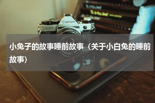 小兔子的故事睡前故事（关于小白兔的睡前故事）