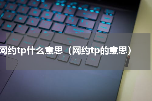 网约tp什么意思（网约tp的意思）