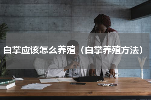 白掌应该怎么养殖（白掌养殖方法）