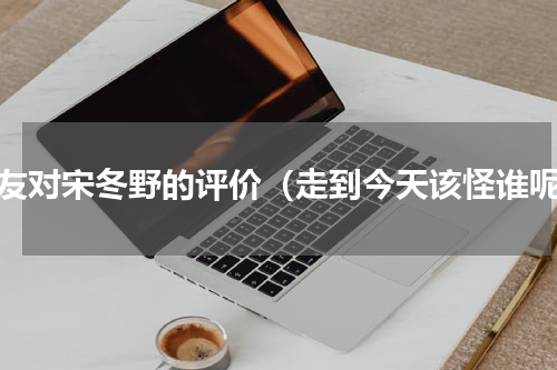 网友对宋冬野的评价（走到今天该怪谁呢）