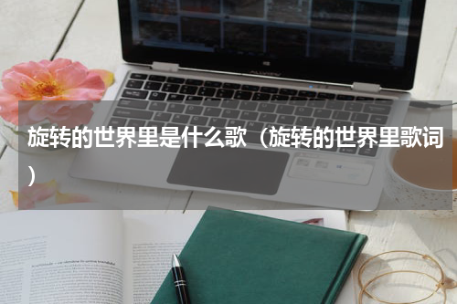 旋转的世界里是什么歌（旋转的世界里歌词）