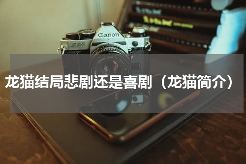 龙猫结局悲剧还是喜剧（龙猫简介）