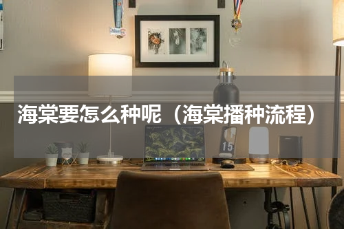 海棠要怎么种呢（海棠播种流程）