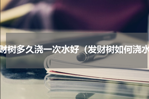 发财树多久浇一次水好（发财树如何浇水）